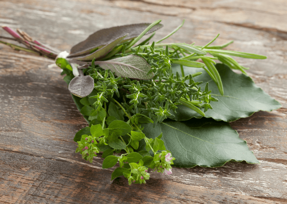 bouquet garni ierburi proaspete