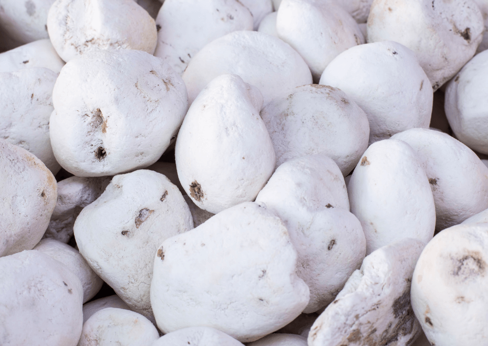 chuno blanco