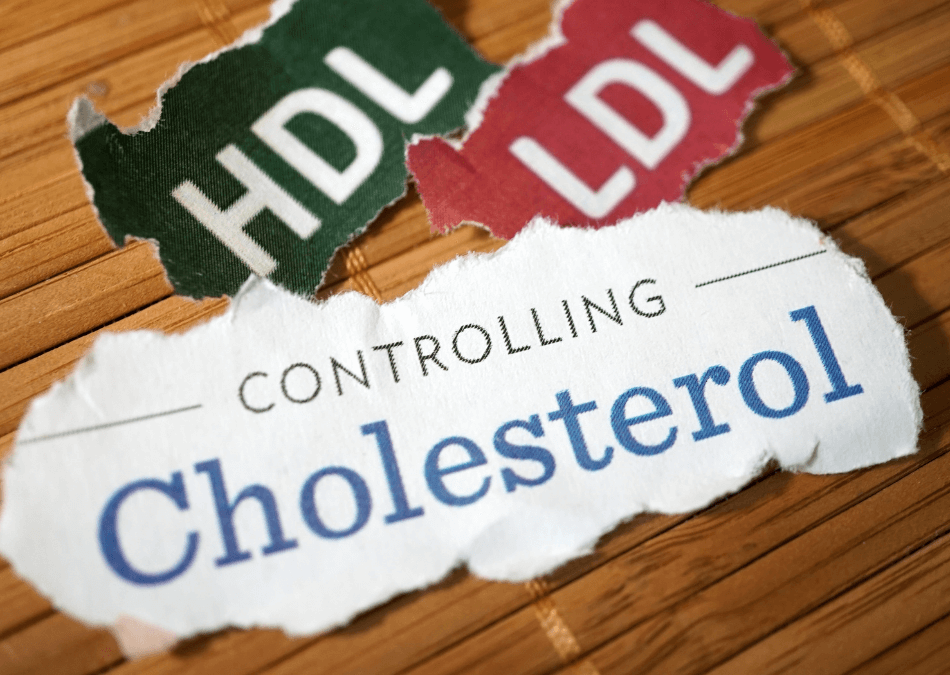 colesterol hdl ldld