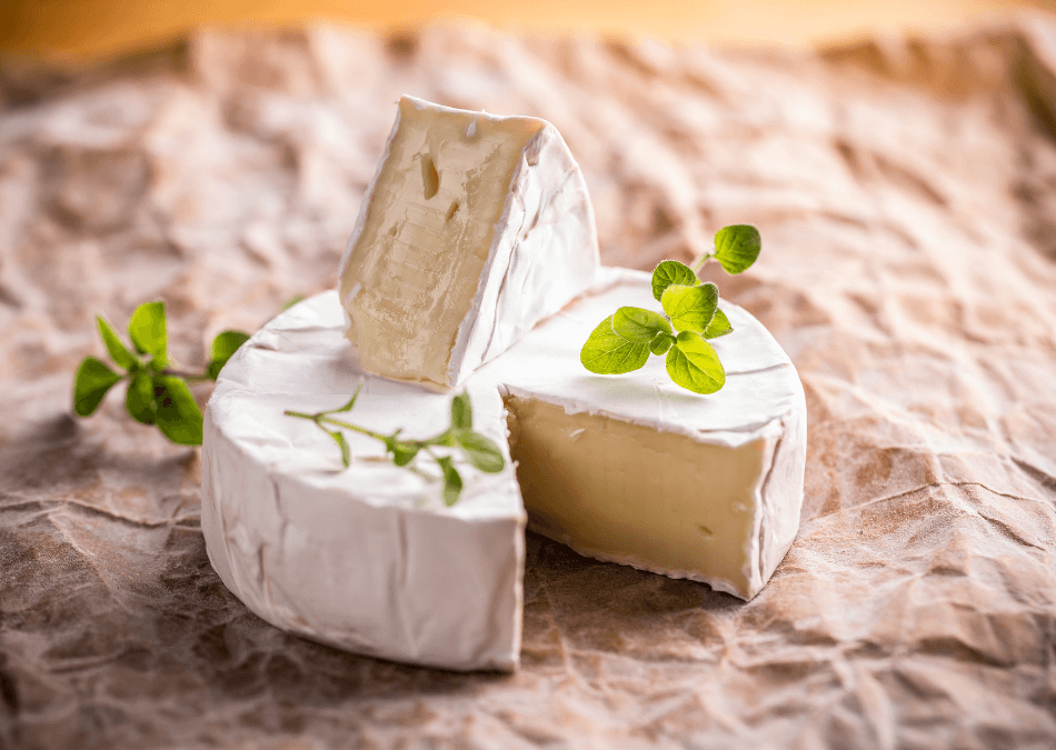 brânza camembert