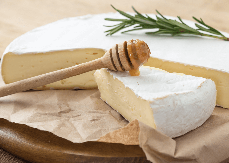 branza brie
