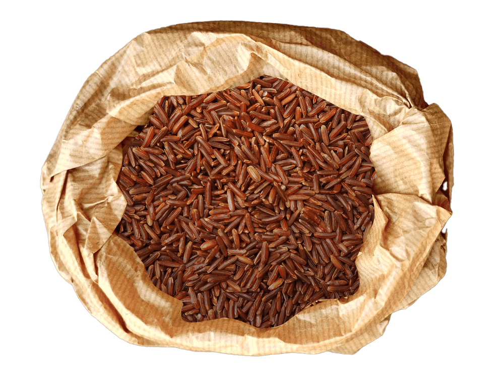 BIO Orez brun