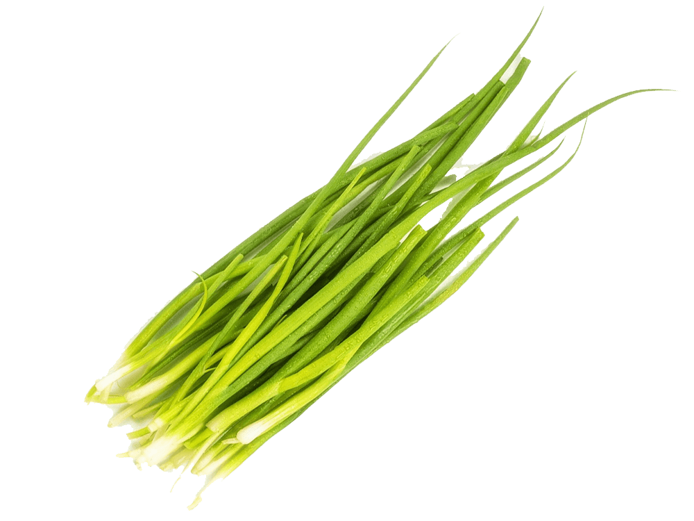 BIO Ceapa verde legatura