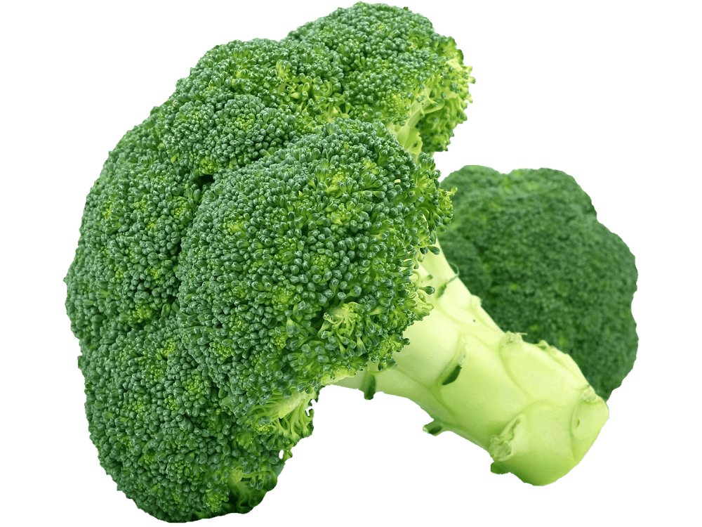 BIO Broccoli