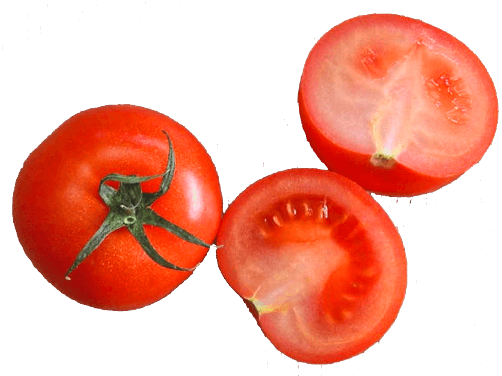 BIO  Rosii