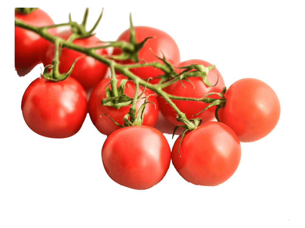 BIO Rosii cherry