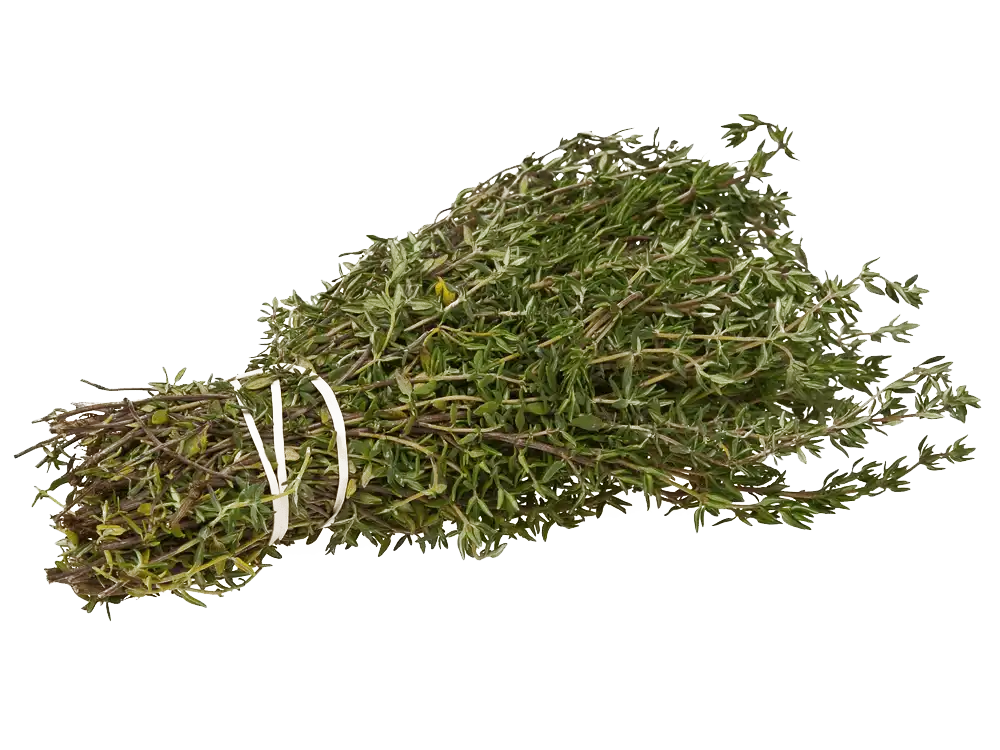 BIO Cimbru