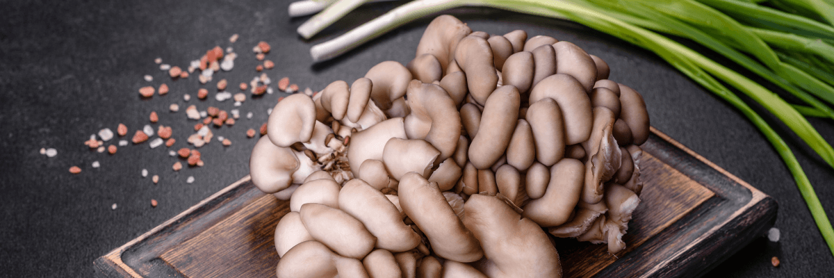 Cât de sănătoasă este ciuperca Pleurotus ostreatus?