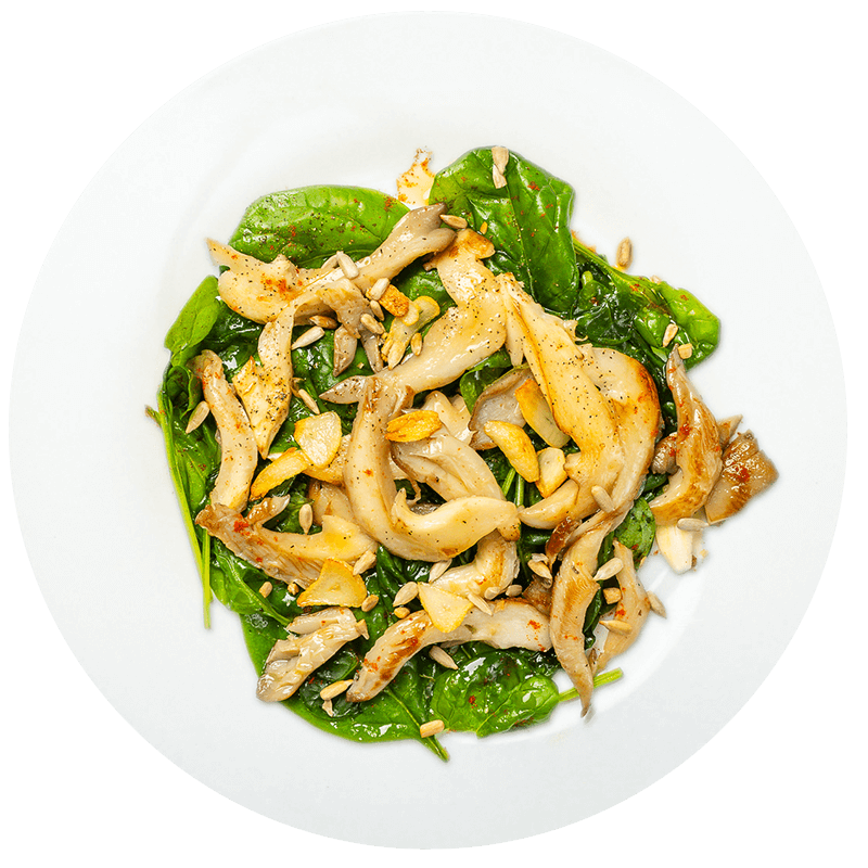 Fotografie Sote de ciuperci inverzite